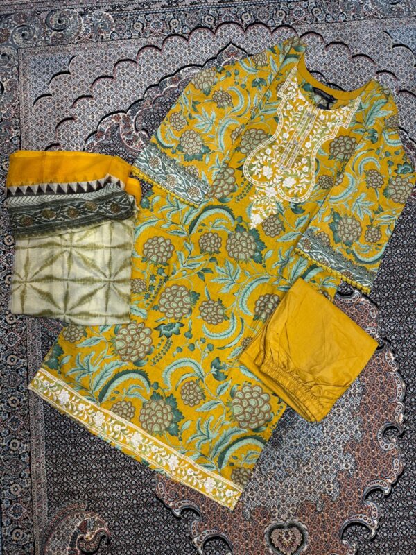 3 pc stitched collection cotton pakistani inspired